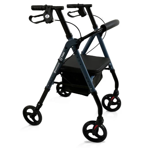 Deambulatore Rollator Febe