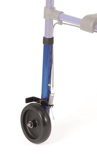 Gamba e ruota posteriore