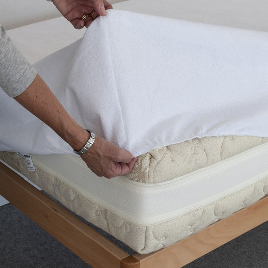 Elastdry Traversa