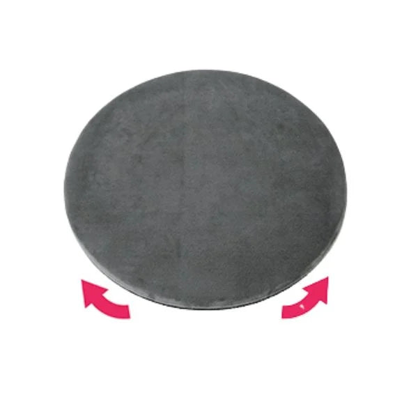 Disco girevole per trasferimento