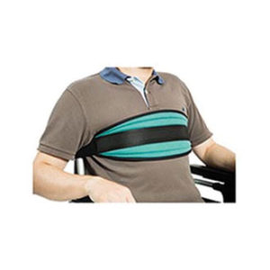 Cintura pettorale a scudo